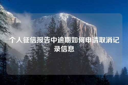 个人征信报告中逾期如何申请取消记录信息