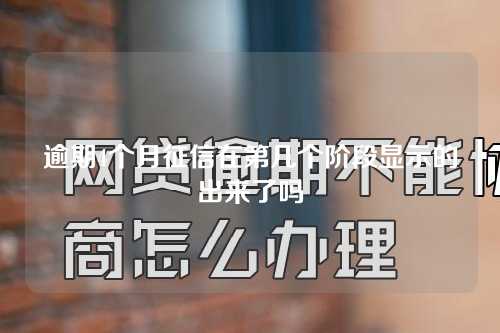 逾期4个月征信在第几个阶段显示的出来了吗