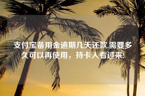 支付宝备用金逾期几天还款,需要多久可以再使用，持卡人看过来!