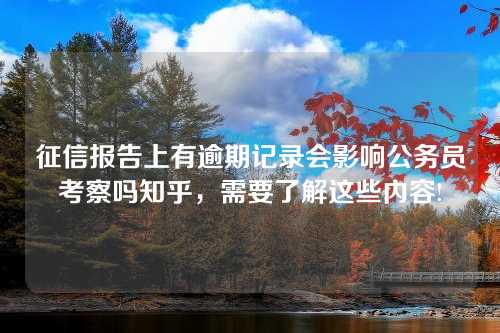 征信报告上有逾期记录会影响公务员考察吗知乎，需要了解这些内容!