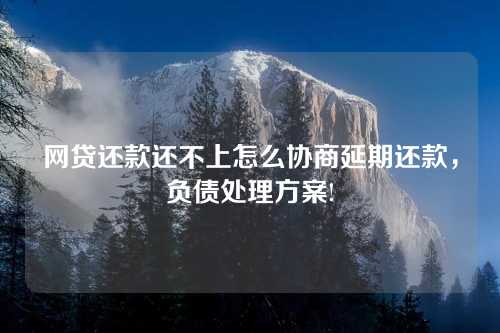 网贷还款还不上怎么协商延期还款，负债处理方案!