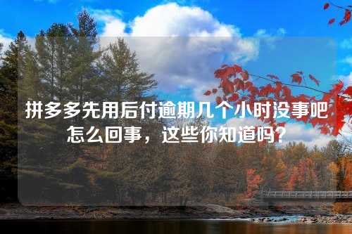 拼多多先用后付逾期几个小时没事吧怎么回事，这些你知道吗？