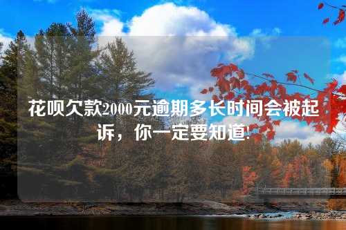 花呗欠款2000元逾期多长时间会被起诉，你一定要知道!