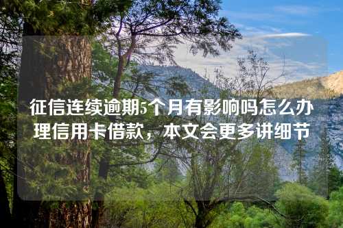 征信连续逾期5个月有影响吗怎么办理信用卡借款，本文会更多讲细节