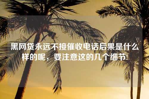 黑网贷永远不接催收电话后果是什么样的呢，要注意这的几个细节!