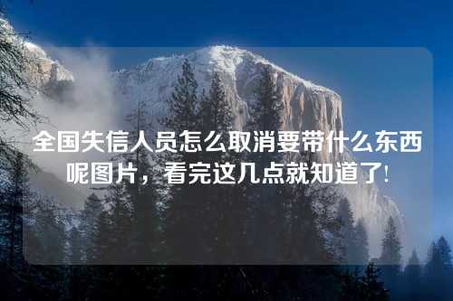 全国失信人员怎么取消要带什么东西呢图片，看完这几点就知道了!