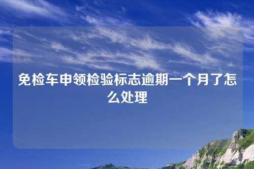 免检车申领检验标志逾期一个月了怎么处理