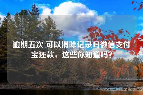 逾期五次 可以消除记录吗微信支付宝还款，这些你知道吗？