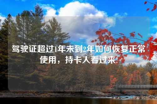 驾驶证超过1年未到2年如何恢复正常使用，持卡人看过来!