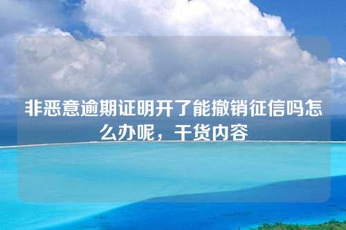 非恶意逾期证明开了能撤销征信吗怎么办呢，干货内容