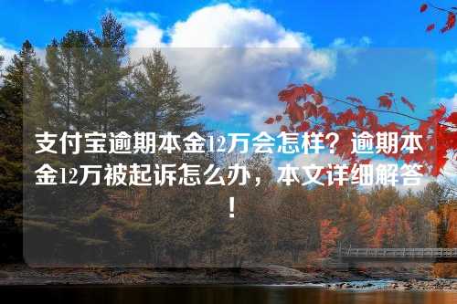 支付宝逾期本金12万会怎样？逾期本金12万被起诉怎么办，本文详细解答！