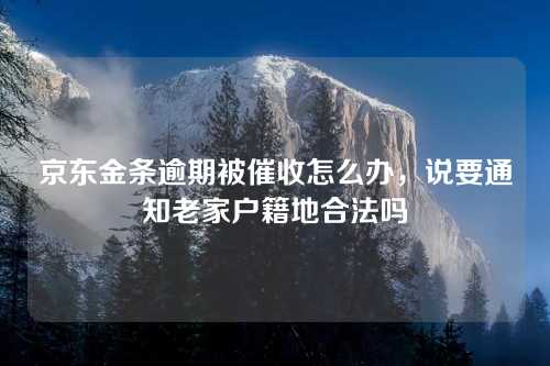 京东金条逾期被催收怎么办，说要通知老家户籍地合法吗