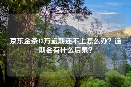 京东金条13万逾期还不上怎么办？逾期会有什么后果？