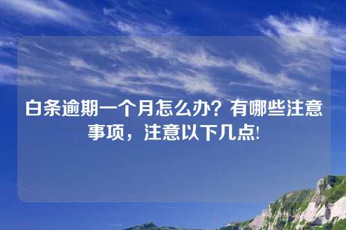 白条逾期一个月怎么办？有哪些注意事项，注意以下几点!