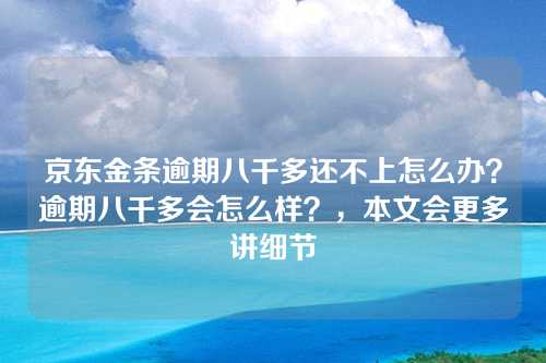 京东金条逾期八千多还不上怎么办？逾期八千多会怎么样？，本文会更多讲细节