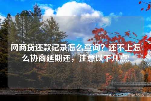 网商贷还款记录怎么查询？还不上怎么协商延期还，注意以下几点!