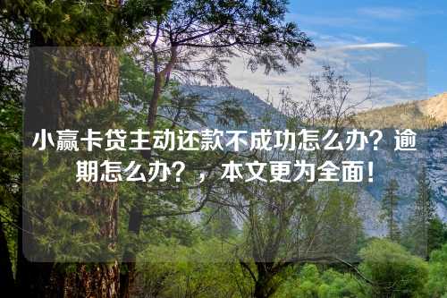 小赢卡贷主动还款不成功怎么办？逾期怎么办？，本文更为全面！