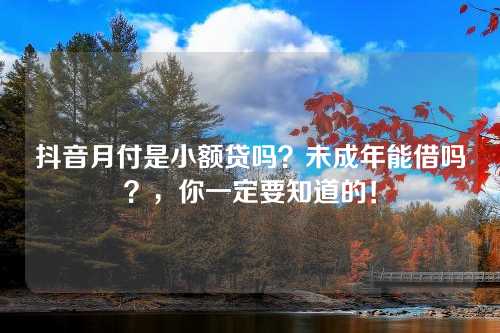 抖音月付是小额贷吗？未成年能借吗？，你一定要知道的！