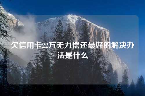 欠信用卡22万无力偿还最好的解决办法是什么