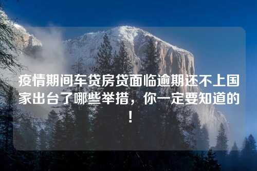 疫情期间车贷房贷面临逾期还不上国家出台了哪些举措，你一定要知道的！