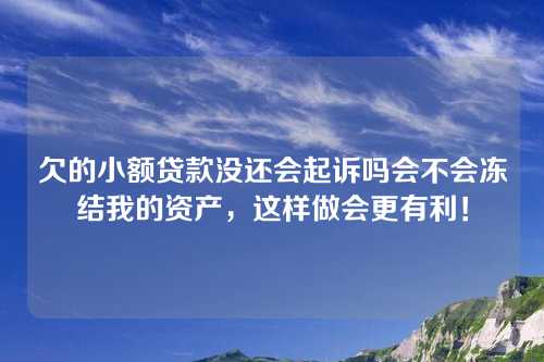 欠的小额贷款没还会起诉吗会不会冻结我的资产，这样做会更有利！