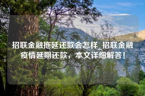 招联金融拖延还款会怎样_招联金融疫情延期还款，本文详细解答！