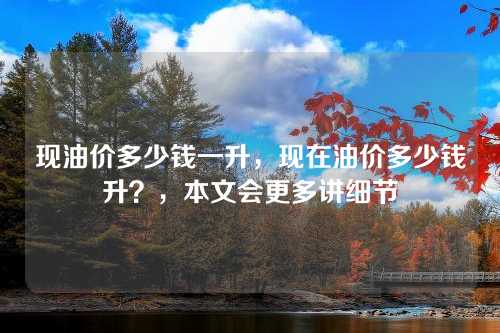 现油价多少钱一升，现在油价多少钱升？，本文会更多讲细节