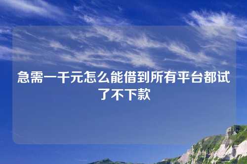 急需一千元怎么能借到所有平台都试了不下款