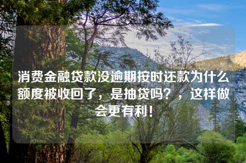 消费金融贷款没逾期按时还款为什么额度被收回了，是抽贷吗？，这样做会更有利！