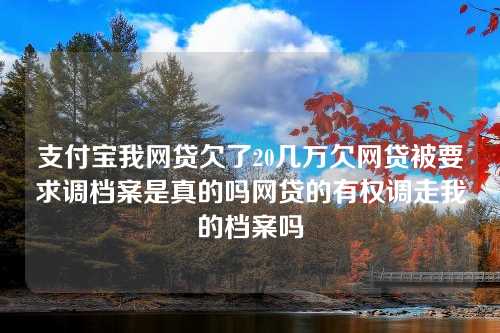 支付宝我网贷欠了20几万欠网贷被要求调档案是真的吗网贷的有权调走我的档案吗