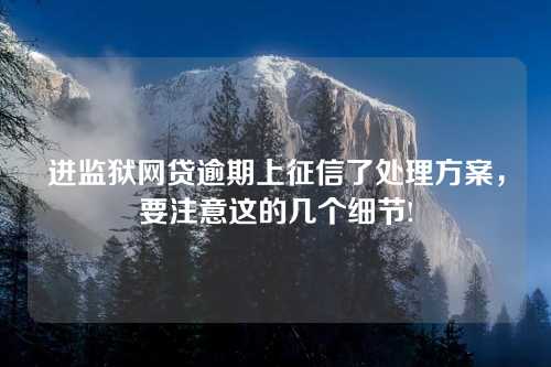 进监狱网贷逾期上征信了处理方案，要注意这的几个细节!