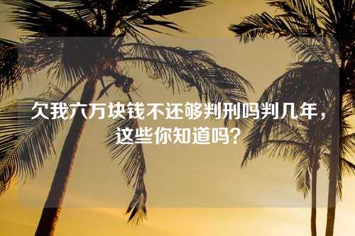 欠我六万块钱不还够判刑吗判几年，这些你知道吗？