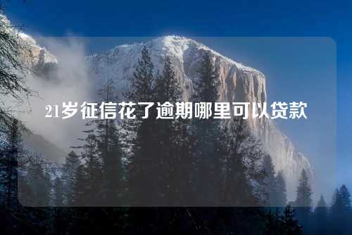 21岁征信花了逾期哪里可以贷款