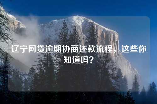 辽宁网贷逾期协商还款流程，这些你知道吗？