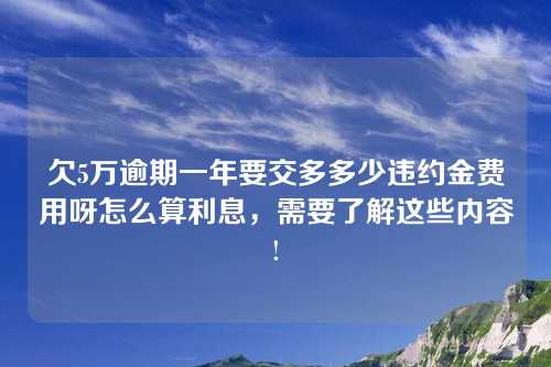 欠5万逾期一年要交多多少违约金费用呀怎么算利息，需要了解这些内容!