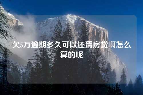 欠5万逾期多久可以还清房贷啊怎么算的呢