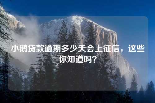 小鹅贷款逾期多少天会上征信，这些你知道吗？