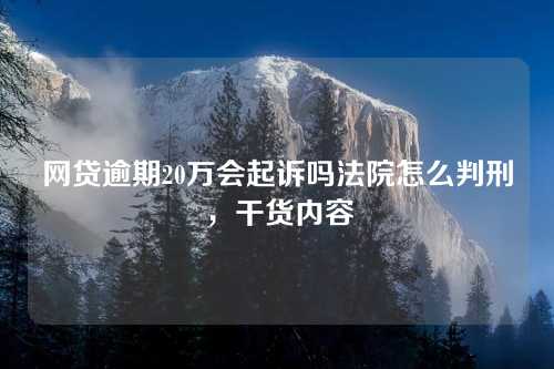 网贷逾期20万会起诉吗法院怎么判刑，干货内容