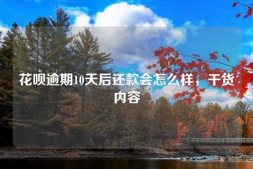 花呗逾期10天后还款会怎么样，干货内容