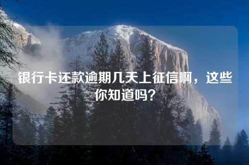 银行卡还款逾期几天上征信啊，这些你知道吗？