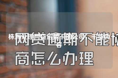 株洲处理网贷信用卡的公司，干货内容