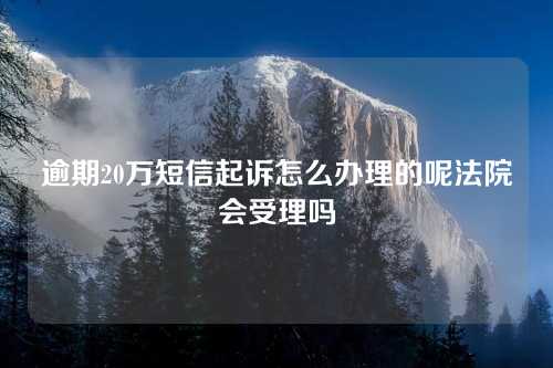 逾期20万短信起诉怎么办理的呢法院会受理吗