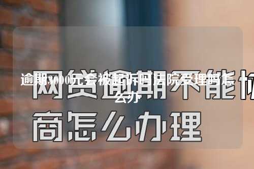 逾期3000元会被起诉吗法院受理吗怎么办