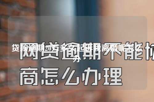 贷款逾期20万多久起诉我离婚呢怎么办