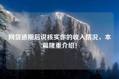 网贷逾期后说核实你的收入情况，本篇隆重介绍！