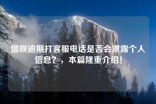 借呗逾期打客服电话是否会泄露个人信息？，本篇隆重介绍！