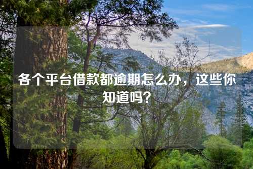 各个平台借款都逾期怎么办，这些你知道吗？