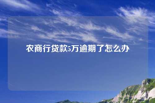 农商行贷款5万逾期了怎么办