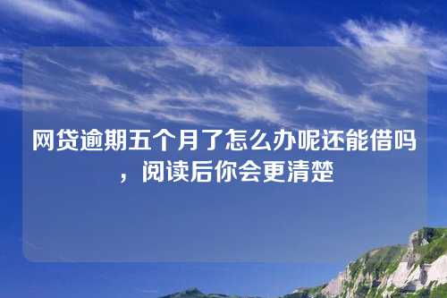 网贷逾期五个月了怎么办呢还能借吗，阅读后你会更清楚