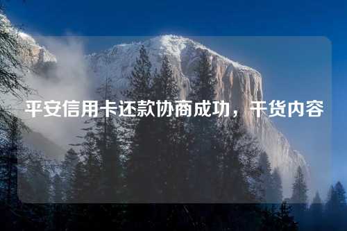 平安信用卡还款协商成功，干货内容